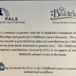 St Baldricks Foundation Bermuda Mar 18th 2011-1-8