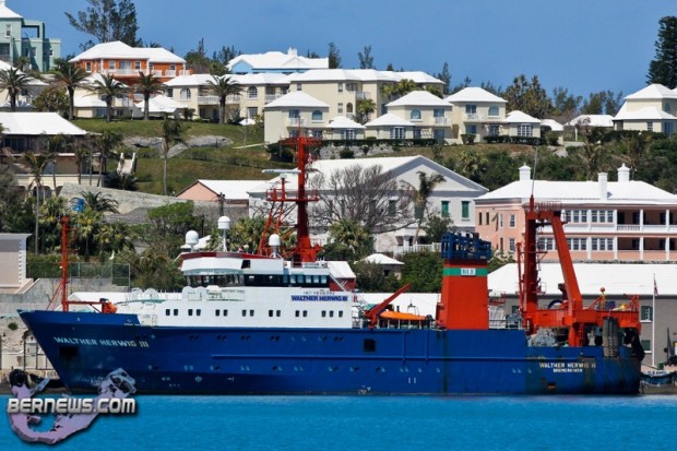 Walther Herig III Penno's Wharf Bermuda Mar 30th 2011-1_wm