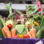 Annual Exhibition Vegetables Bermuda April 13 2011-1