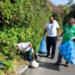 Spring Clean Up PLP Constituency 29 & 30 Bermuda April 16 2011-1-6