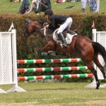 ag show equestrian 2011 bermuda (3)