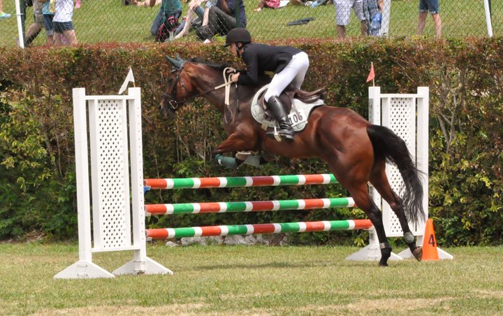 ag-show-equestrian-2011-bermuda-3