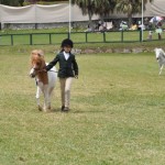 ag show equestrian 2011 bermuda (6)