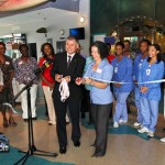 Nurses Month Expo Health Minister Zane DeSilva  Bermuda May 18 2011-1