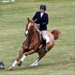 Royal Bermuda Ascot Garden Party & Horse Show Equestrian  Bermuda May 15 2011-1-11