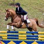 Royal Bermuda Ascot Garden Party & Horse Show Equestrian  Bermuda May 15 2011-1-12