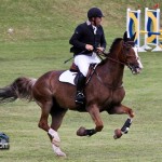 Royal Bermuda Ascot Garden Party & Horse Show Equestrian  Bermuda May 15 2011-1-23