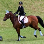 Royal Bermuda Ascot Garden Party & Horse Show Equestrian  Bermuda May 15 2011-1-28