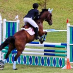 Royal Bermuda Ascot Garden Party & Horse Show Equestrian  Bermuda May 15 2011-1-32