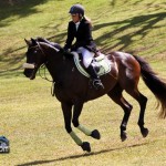 Royal Bermuda Ascot Garden Party & Horse Show Equestrian  Bermuda May 15 2011-1-33