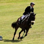 Royal Bermuda Ascot Garden Party & Horse Show Equestrian  Bermuda May 15 2011-1-34