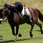 Royal Bermuda Ascot Garden Party & Horse Show Equestrian  Bermuda May 15 2011-1-37
