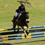 Royal Bermuda Ascot Garden Party & Horse Show Equestrian  Bermuda May 15 2011-1-39