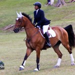 Royal Bermuda Ascot Garden Party & Horse Show Equestrian  Bermuda May 15 2011-1-42