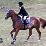 Royal Bermuda Ascot Garden Party & Horse Show Equestrian  Bermuda May 15 2011-1-49