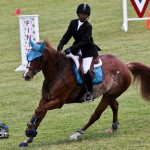 Royal Bermuda Ascot Garden Party & Horse Show Equestrian  Bermuda May 15 2011-1-50