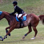 Royal Bermuda Ascot Garden Party & Horse Show Equestrian  Bermuda May 15 2011-1-51