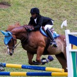 Royal Bermuda Ascot Garden Party & Horse Show Equestrian  Bermuda May 15 2011-1-52