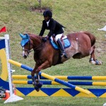 Royal Bermuda Ascot Garden Party & Horse Show Equestrian  Bermuda May 15 2011-1-53