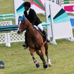 Royal Bermuda Ascot Garden Party & Horse Show Equestrian  Bermuda May 15 2011-1-59