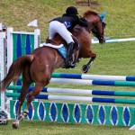 Royal Bermuda Ascot Garden Party & Horse Show Equestrian  Bermuda May 15 2011-1-60