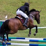 Royal Bermuda Ascot Garden Party & Horse Show Equestrian  Bermuda May 15 2011-1-9