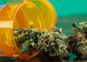 medical_marijuana__weed