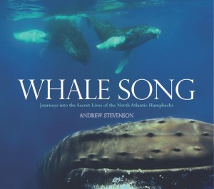 whalesong cover
