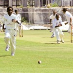Hiscox Celebrity Allstar Cricket Bermuda June 4 2011-1-15
