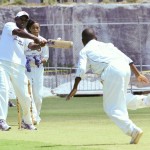 Hiscox Celebrity Allstar Cricket Bermuda June 4 2011-1-18