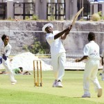 Hiscox Celebrity Allstar Cricket Bermuda June 4 2011-1-19