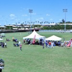 Hiscox Celebrity Allstar Cricket Bermuda June 4 2011-1