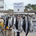 bermuda fishing tournament june 2011 (1)