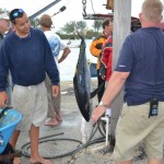 bermuda fishing tournament june 2011 (10)