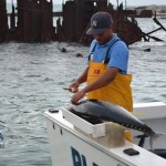 bermuda fishing tournament june 2011 (14)