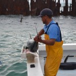 bermuda fishing tournament june 2011 (16)