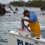 bermuda fishing tournament june 2011 (18)