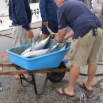 bermuda fishing tournament june 2011 (9)