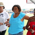 2011 bermuda cup match spectators  (60)