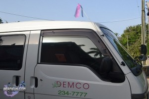 demco florist pink blue ribbons 2011 (12)