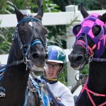 Harness Pony Races Bermuda September 25 2011-1-10
