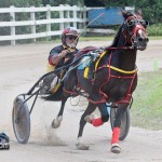 Harness Pony Races Bermuda September 25 2011-1-12