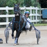 Harness Pony Races Bermuda September 25 2011-1-15