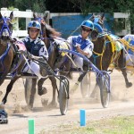 Harness Pony Races Bermuda September 25 2011-1