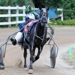 Harness Pony Races Bermuda September 25 2011-1-21