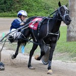 Harness Pony Races Bermuda September 25 2011-1-23