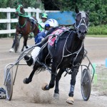 Harness Pony Races Bermuda September 25 2011-1-24