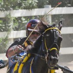 Harness Pony Races Bermuda September 25 2011-1-6
