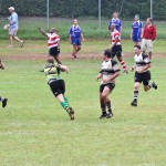 Rugby Sandy's Tournament  Bermuda September 17 2011-1-7