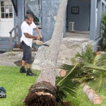 Tiger Bay tree Tropical Storm Maria hurricane weather Bermuda September 15 2011-1-12